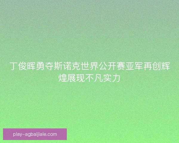 丁俊晖勇夺斯诺克世界公开赛亚军再创辉煌展现不凡实力